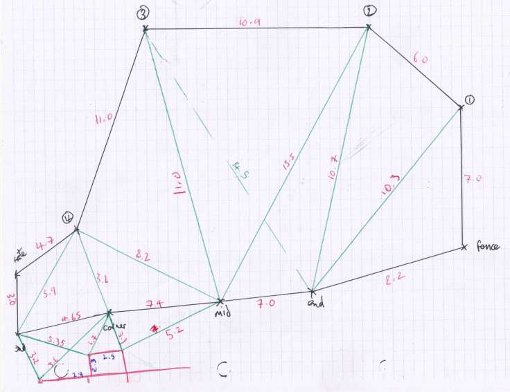 Outline of garden on graph paper triangulated with interconnecting triangles