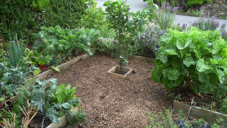 Small edible forest garden, wooden planks and woodchip paths