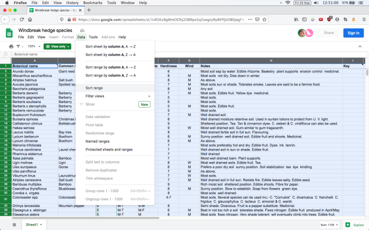 Screenshot of online spreadsheet