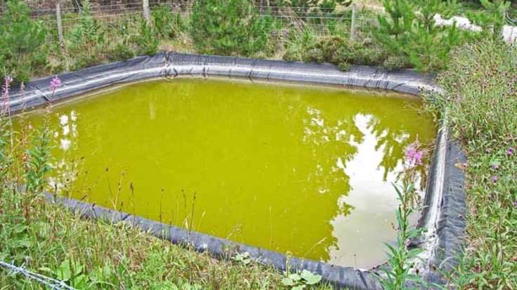 Greenish water in small reservoir