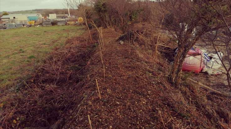 View along top of a bank with newly planted hedge