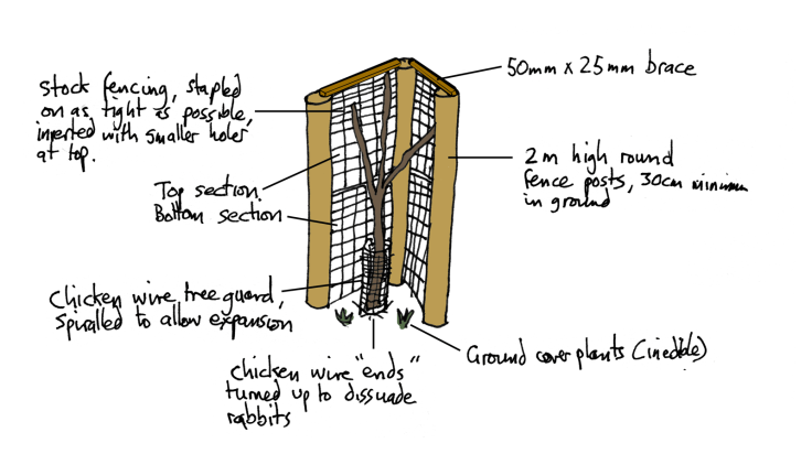 Illustration of construction of tree guard