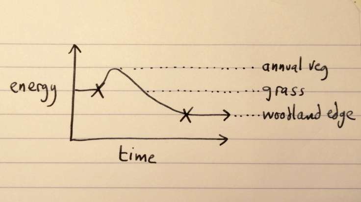 Hand drawn sketch of graph showing energy bump required to get to annual veg or woodland edge forest garden