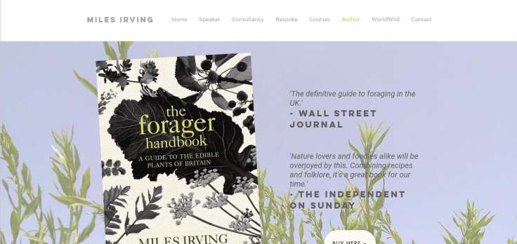 Screenshot of website selling Forager Handbook