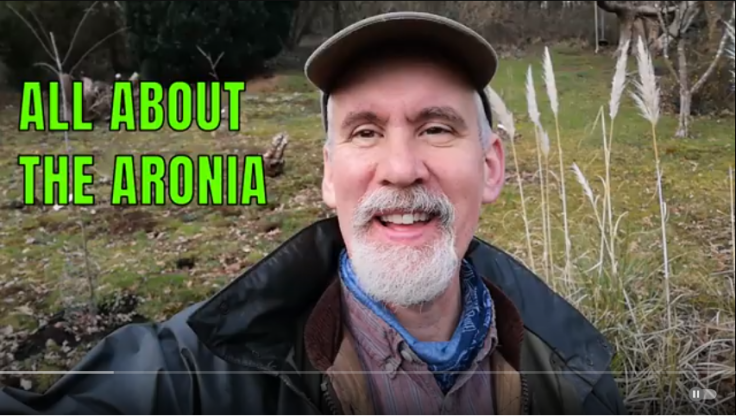 Screenshot of YouTube video 'All About The Aronia'