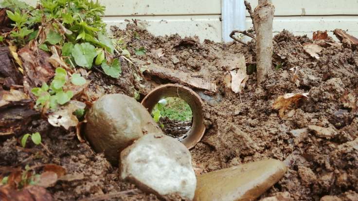 Hedgehog eye view through pipe which goes under the garden fence to outside