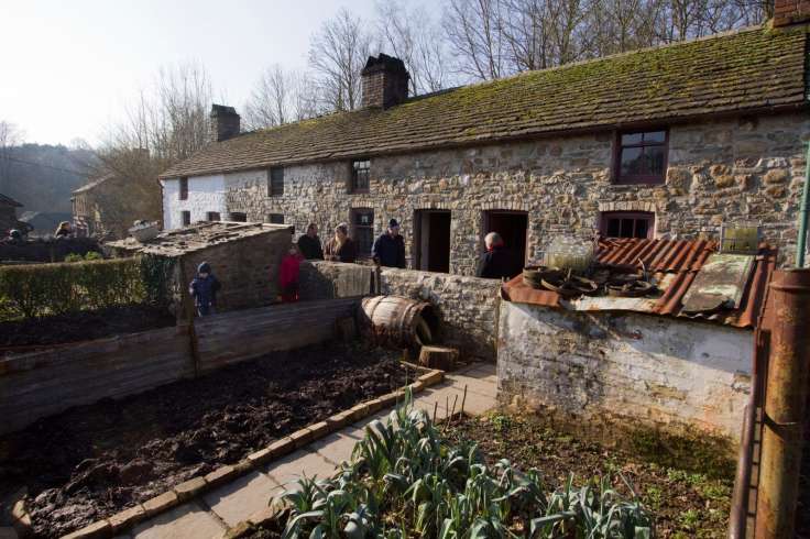 Small terraced rear garden with veg