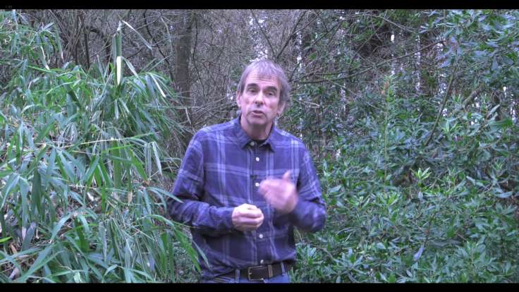 Screenshot of man in checked shirt talking