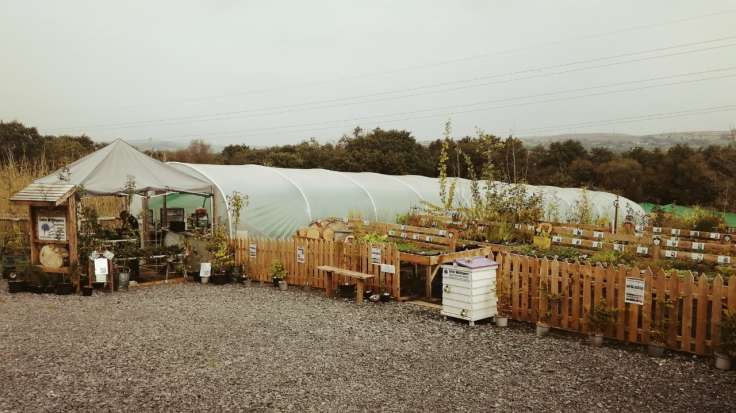 Polytunnel & nursery