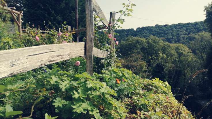 Rustic wooden fence on the edge of a garden, beyond a wooden valley