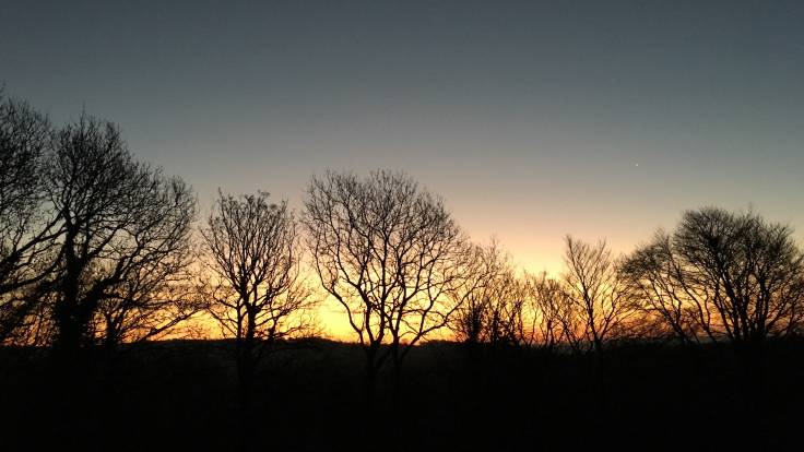 Sunrise clear sky silhouetting trees