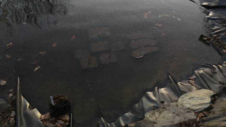 Pots submerged under water in new pond