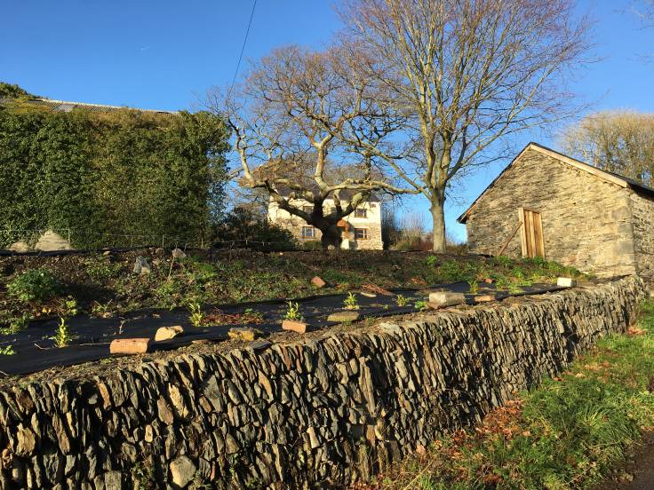 Stone wall, barns & farmhouse on the hill in sunlight