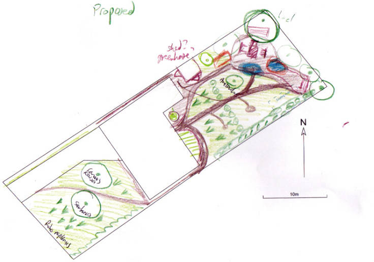 CAD forest garden plan showing colour scribblings of plants, paths & features