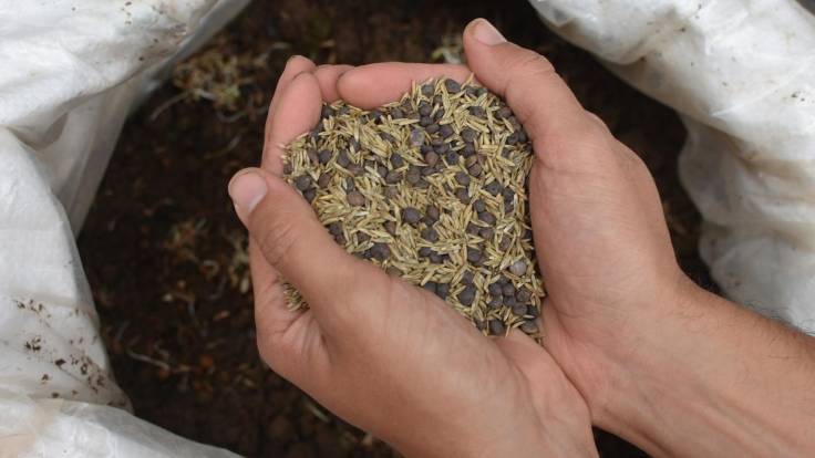 Hand holding mixed seed over bag