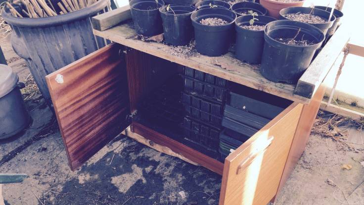 Old knackered cupboard with open doors