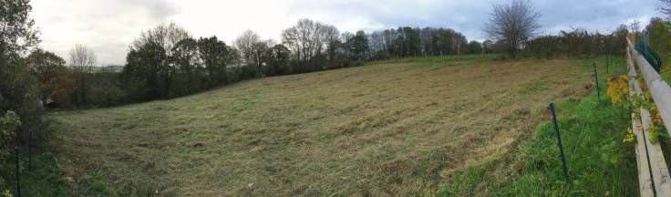 Panorama of mown field bordered with trees