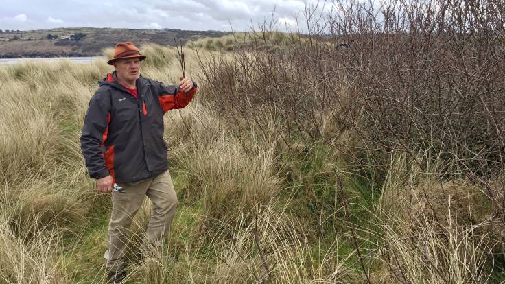 Man holding twigs standing in dunes, secateurs in hand