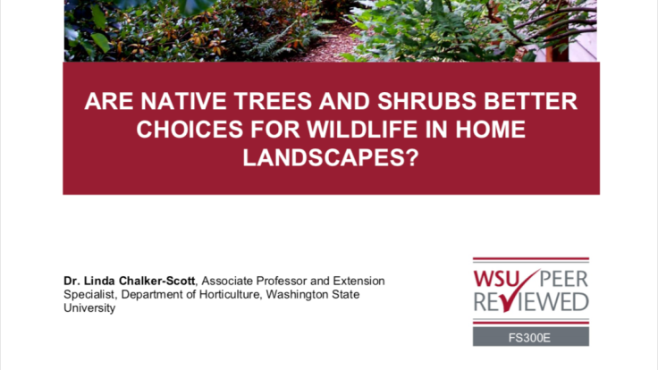 Screenshot of Linda Chalker-Scott fact sheet Are native trees and shrubs better choices for wildlife in home landscapes?