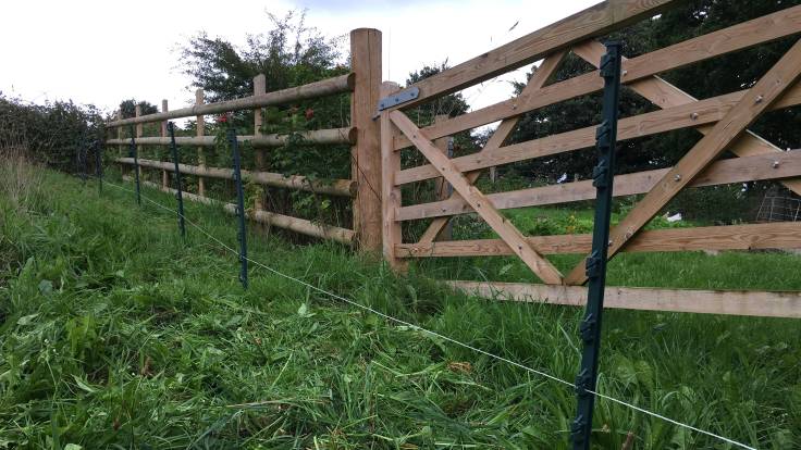 Low electric fence in front of wooden fence and gate