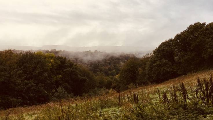 Misty valley across rough pasture