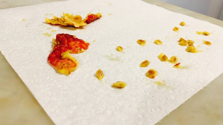 Cornus kousa seeds and fruit on a piece of kitchen paper