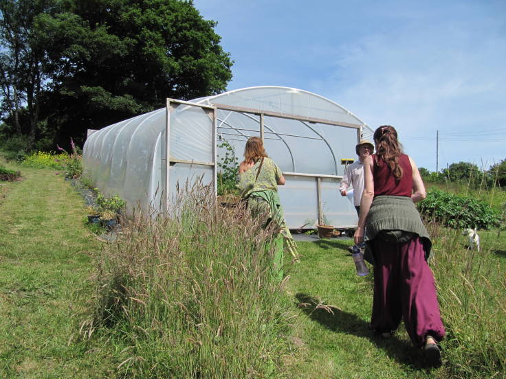 Two people walking up to polytunnel past long grass, man in hat talking, white dog to the right, mature trees in the background