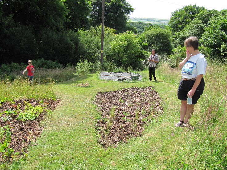 Shaped garden, two beds with bark mulch, on a slope, two people looking on, electricity pole, trees and hills in background