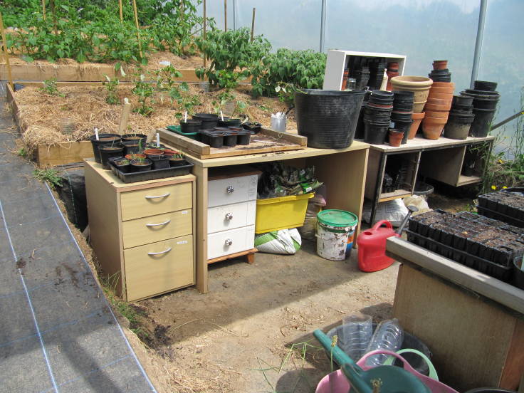 Work area inside polytunnel, desks and shelves stacked with pots