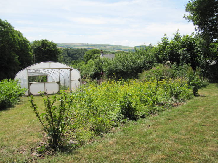 Small fruit bushes in foreground, poytunnel middle distance, trees and hills beyond