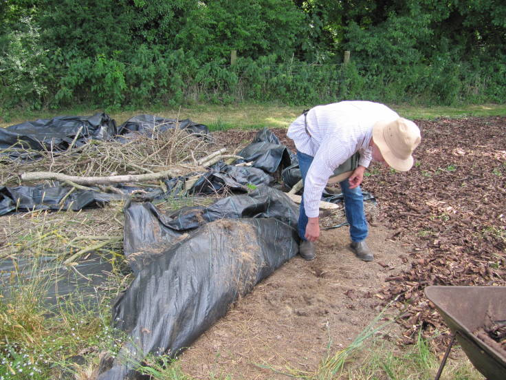 Man with hat lifting up sheet mulch to show bare soil beneath