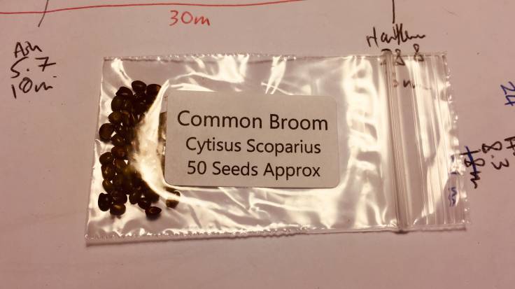 Packet of small dark seeds on top of garden plan