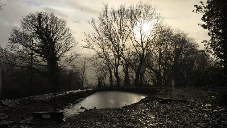 Monochrome photo of new pond, sunlight through trees and rain