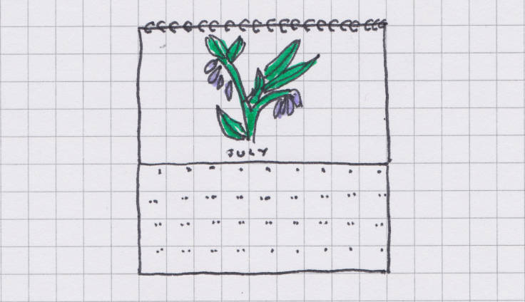 Sketch of wall calendar