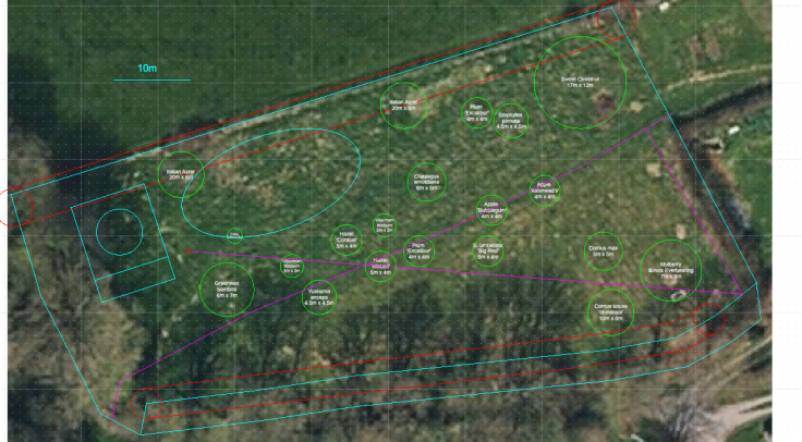Rough plan of forest garden, satellite photo in background