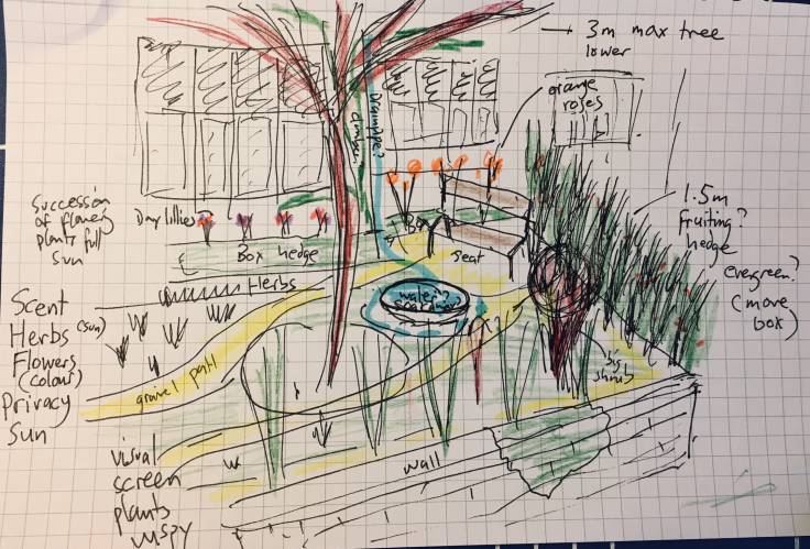 Scribbly sketch of garden design