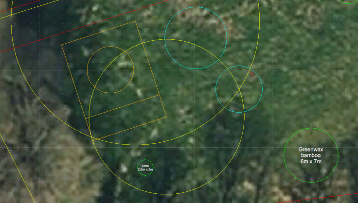 CAD circles on a satellite plan