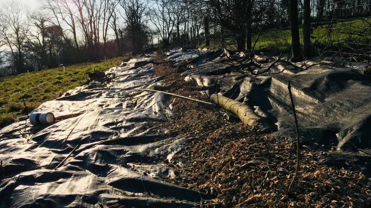 Wood chip mulch on long strip of plastic sheet mulch with low sun