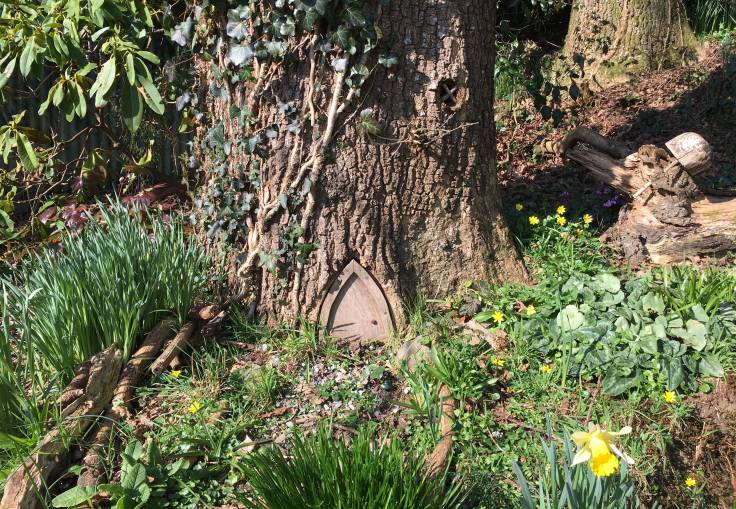 Pixie house door at bottom of tree
