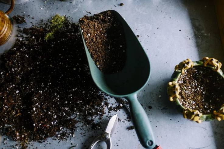 Compost and scoop on table. Creative Commons - Attribution (BY) garden