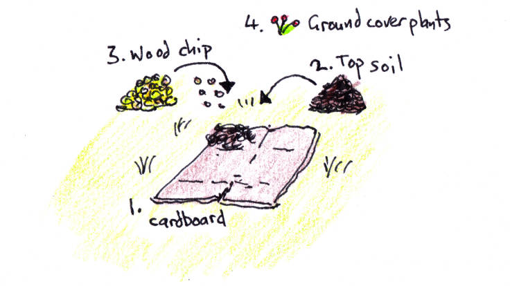 Illustration showing order of creating cardboard propagation bed