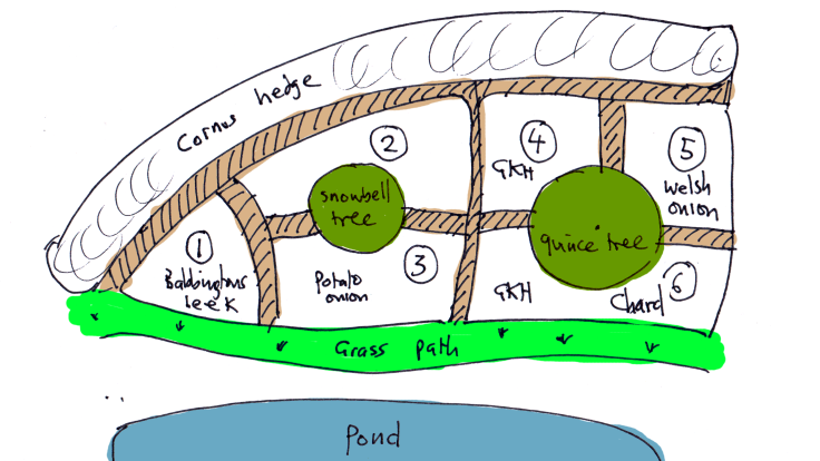 Roughly coloured sketch of perennial veg patch