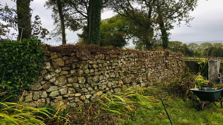 Stone wall, trees behind