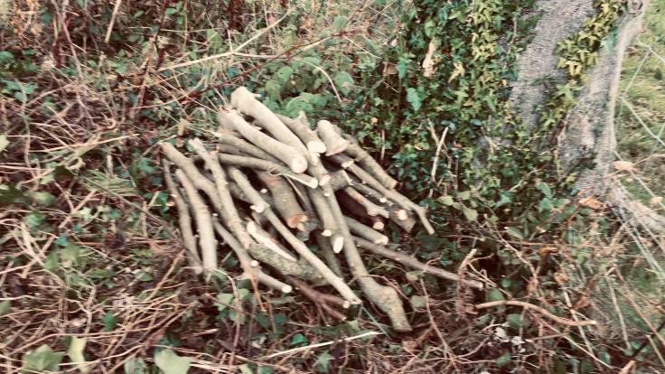 Pile of small logs next to fence