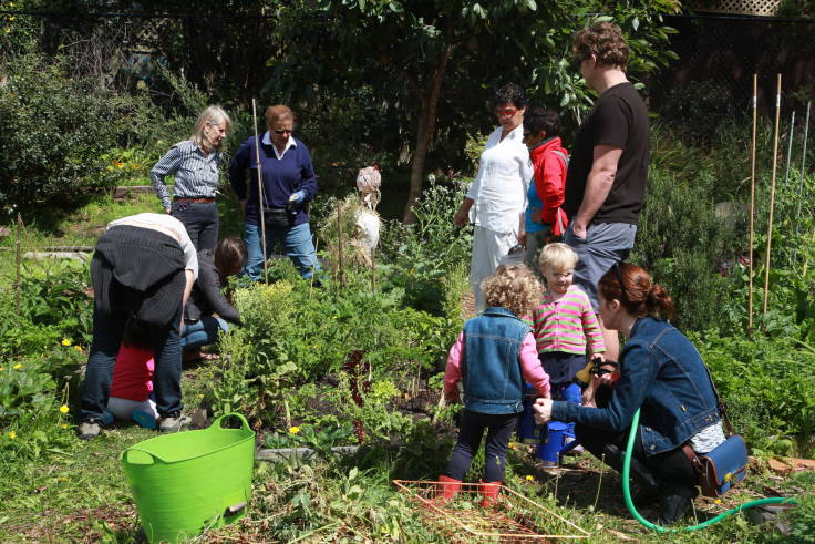 A dozen people of different ages in a community garden