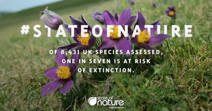 Cover image for State of Nature report 2019