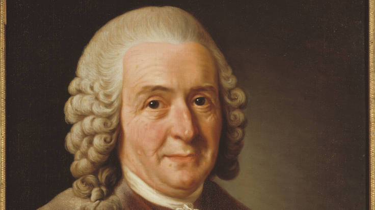 Painting of distinguished 18th Century academic
