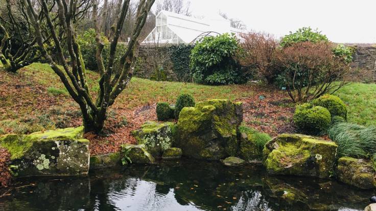 Pond lined with stones, grassy bank and pruned tree