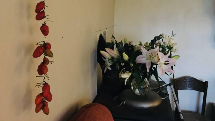 Red chillies on a string by some cut flowers