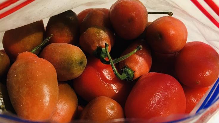 Plastic bag of red round chillies